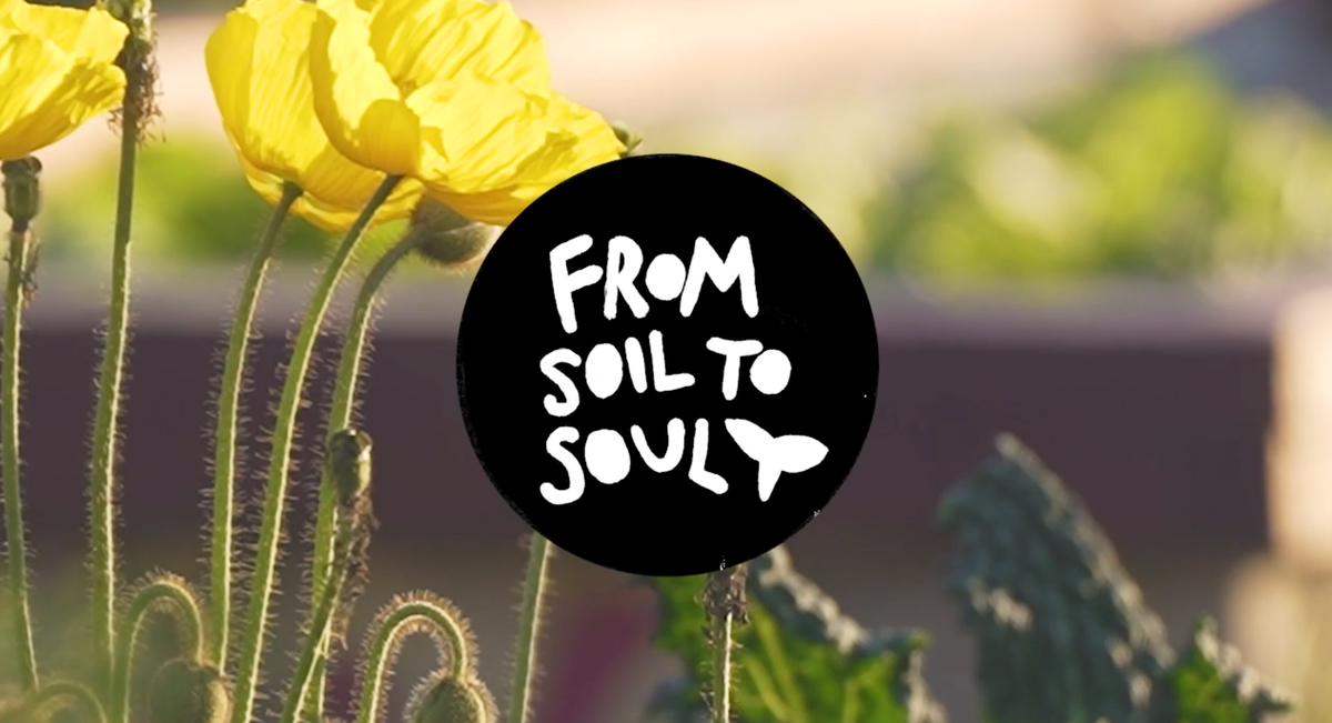 where climate justice, food sovereignty, & design meet