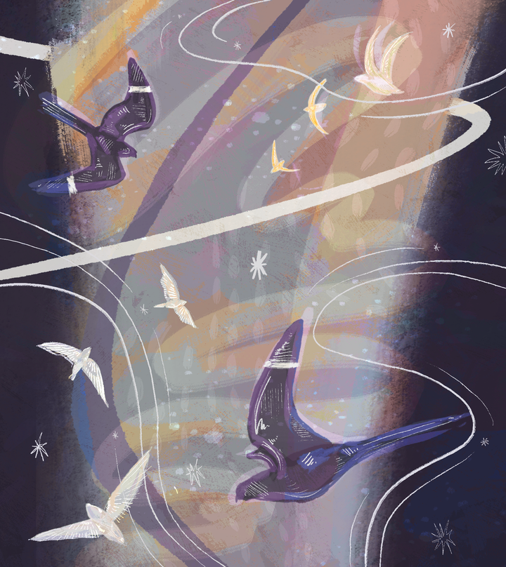 on shared skies