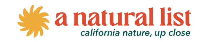 california killifish (a natural list, no. 16)