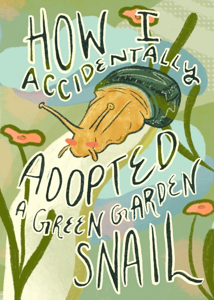 how i accidentally adopted a snail