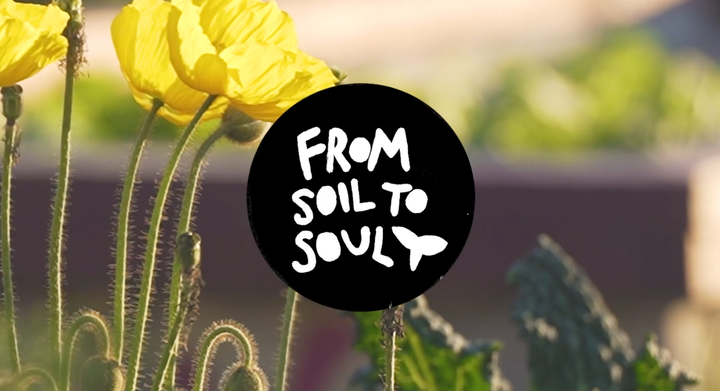 where climate justice, food sovereignty, & design meet
