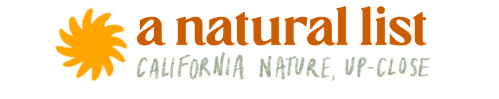 tule elk (a natural list, no. 3)